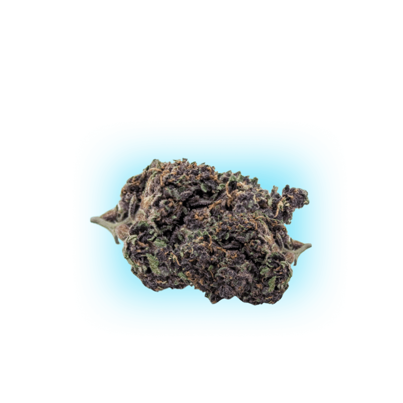 PHC Blüten Purple Haze 25%