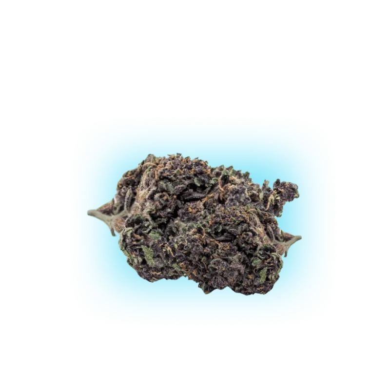 PHC Blüten Purple Haze 25%