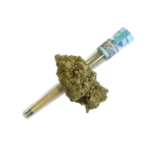 Prerolled HHZ 40% – Northern Light