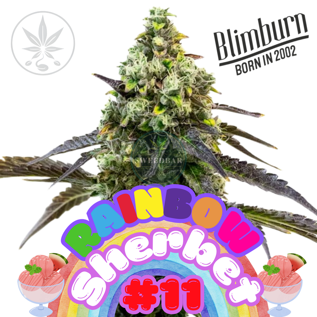 Marshmallow OG Compound Genetics