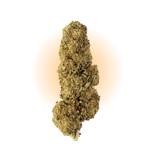 PHCP Blüte Strawberry-Smagro GmbH