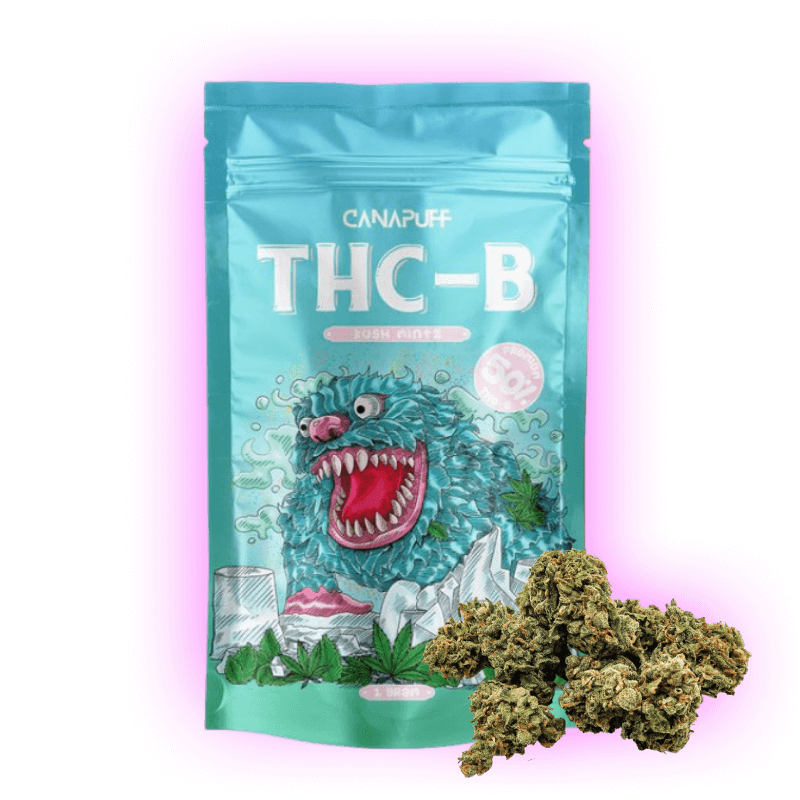 THC-B Kush Mintz 50%