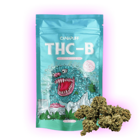 THC-B Kush Mintz 50%