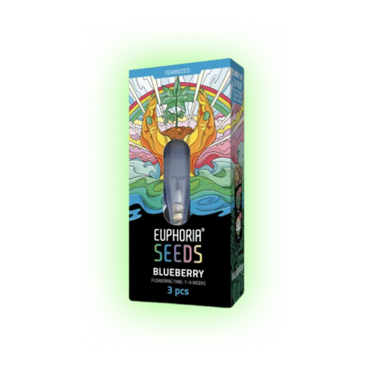 Cannabis Seeds Blueberry 3 Stück
