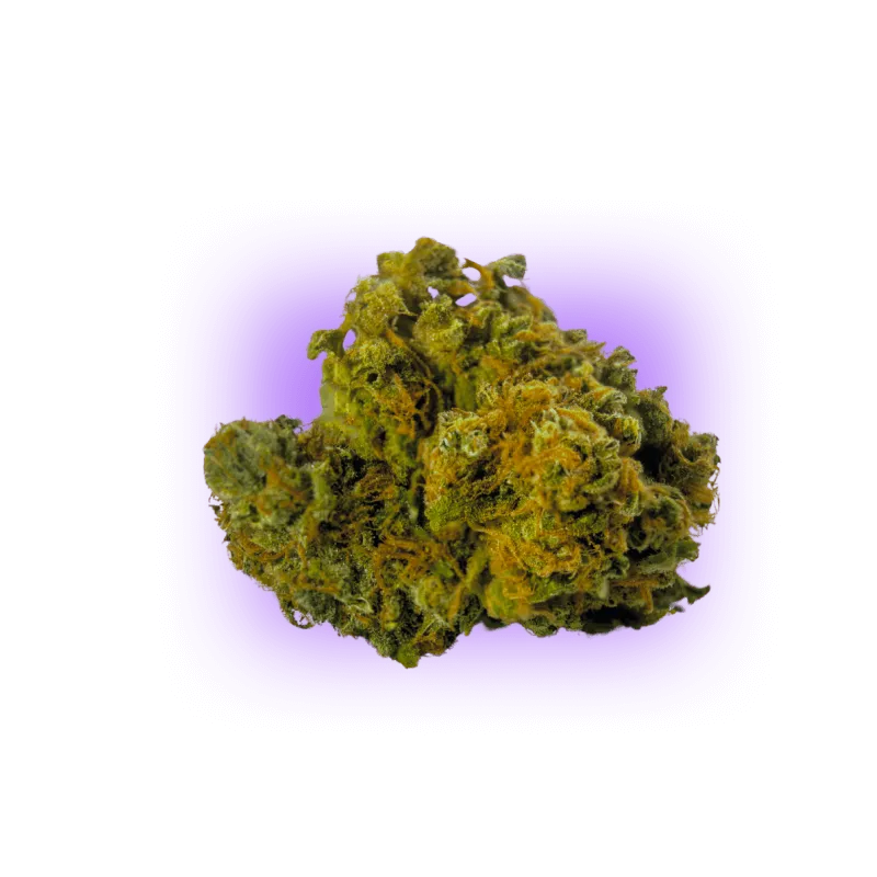 Cannabis Seeds AK47 auto. 3Stück