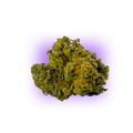 Cannabis Seeds AK47 auto. 3Stück
