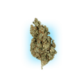 Cannabis Seeds Runtz x Amnesia 3 Stück