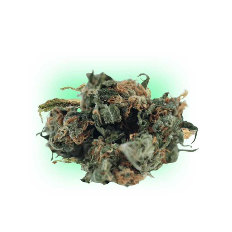 Cannabis Seeds Mango Smile 3 Stück
