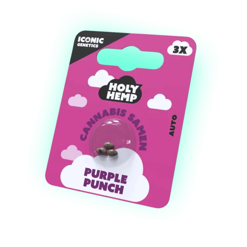 Seeds Purple Punch - Iconic Seeds (3 Stück)