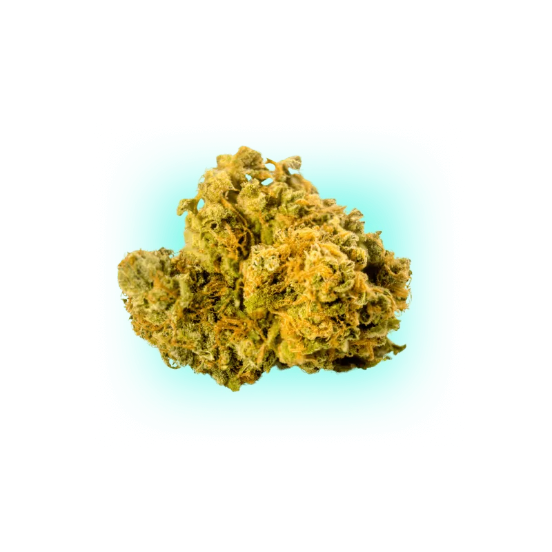 Cannabis Seeds Biscotti 3 Stück