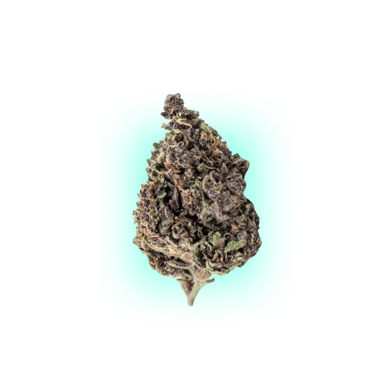 Cannabis Samen Automatik Mix Pack 5 Stück