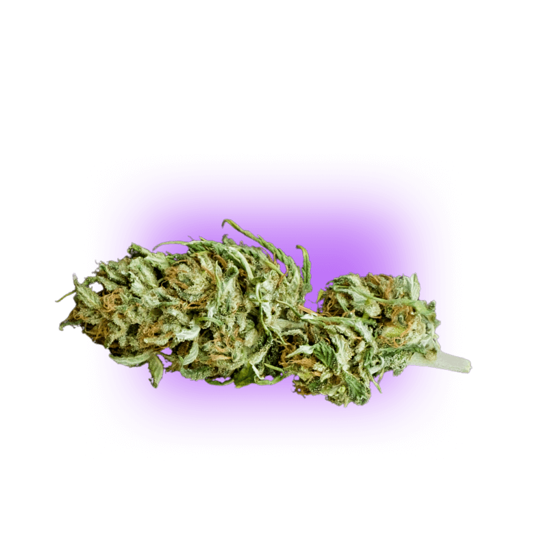 CBD Blüte Cheese THC Free
