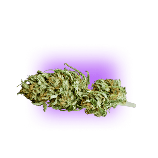 CBD Blüte Cheese THC Free