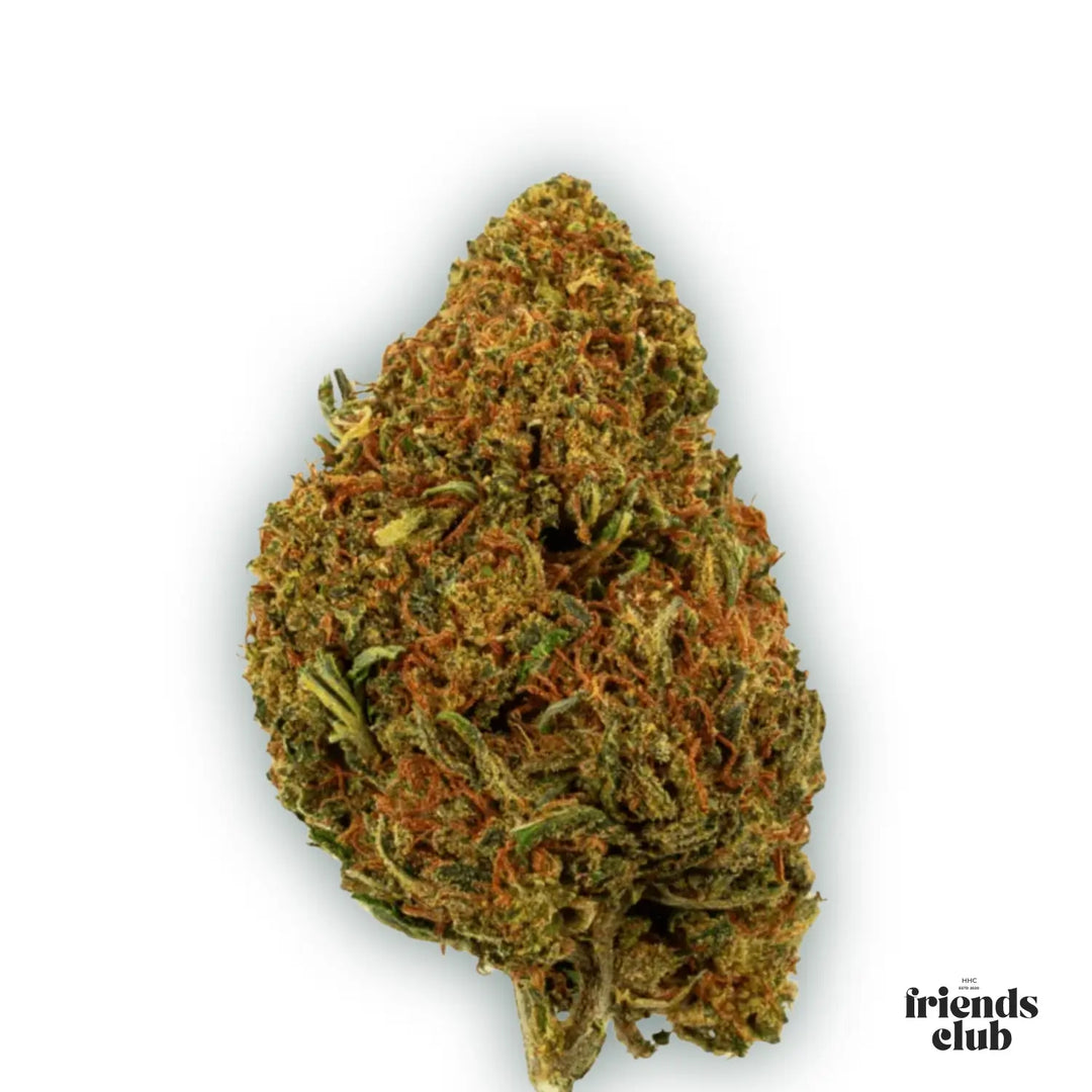 PHCP Blüte Cherry Pie - hhcfriends