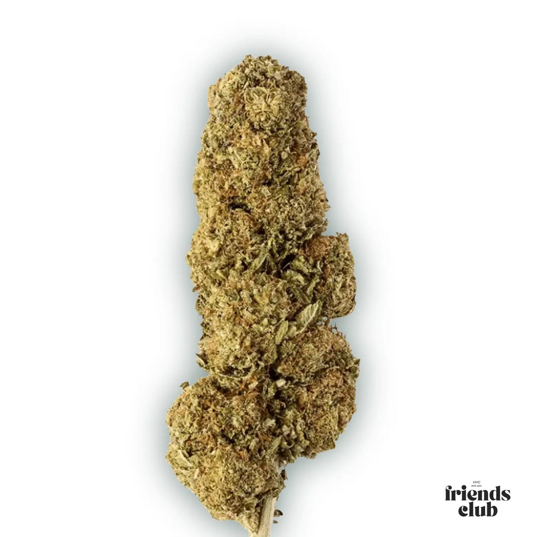 PHCP Blüte Strawberry - hhcfriends