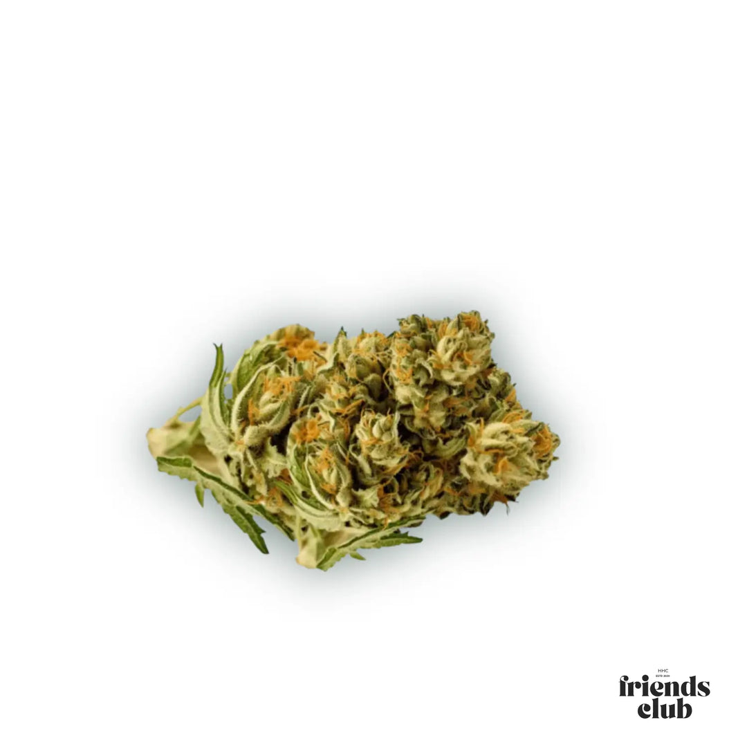 PHC Blüten Plutonium 25% - hhcfriends