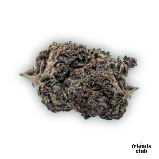 PHC Blüten Purple Haze 25%-HHCFriends