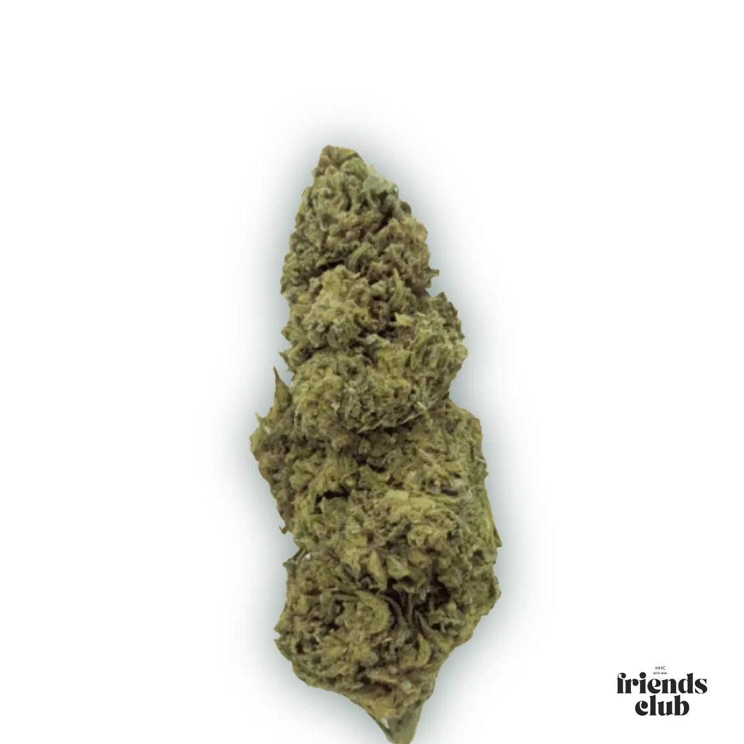 PHC Blüten Cannatonic - hhcfriends
