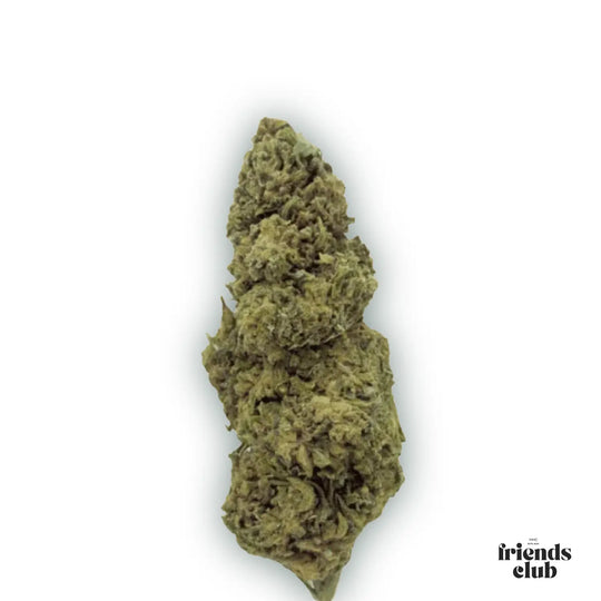 PHC Blüten Cannatonic - hhcfriends