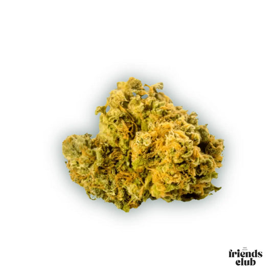 PHC Blüten Mango 25%-HHCFriends