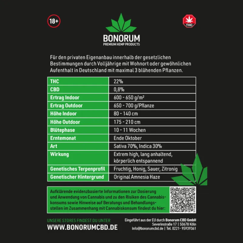 Amnesia Haze Original Samen THC 🌱