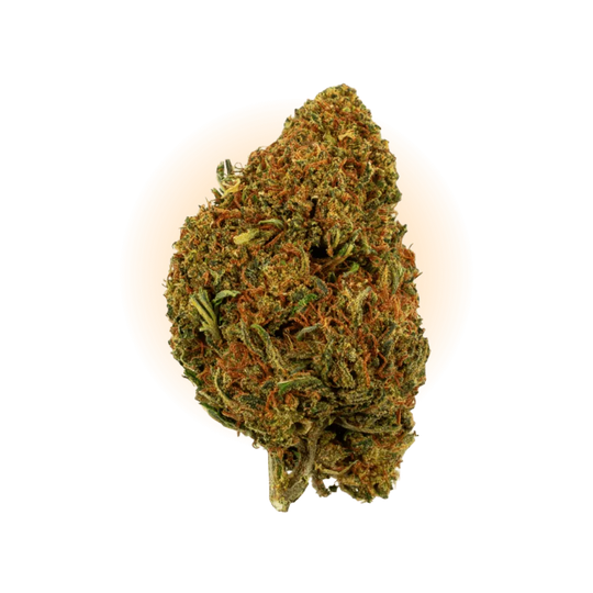PHCP Blüte Cherry Pie-Smagro GmbH