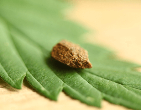 HHC Hashish legal in Bayern kaufen