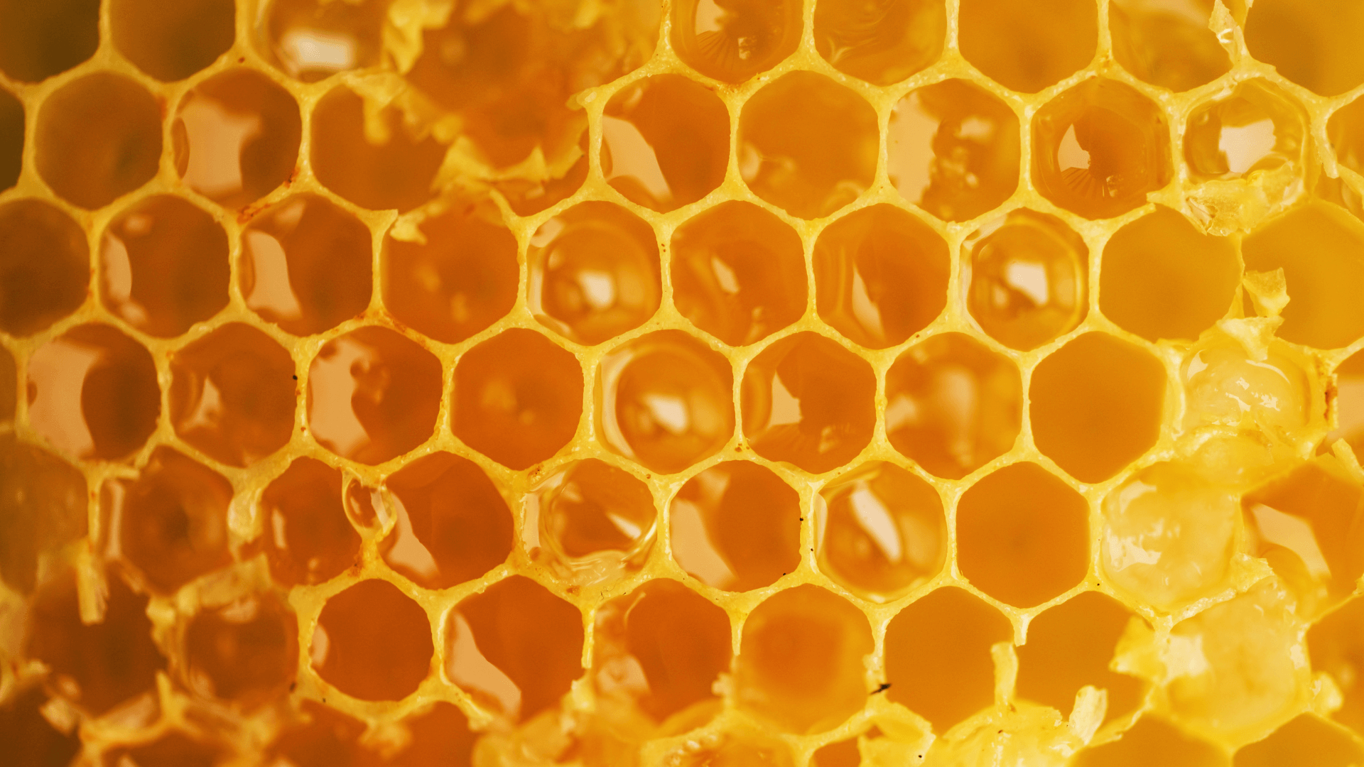 Mad Honey aus Nepal